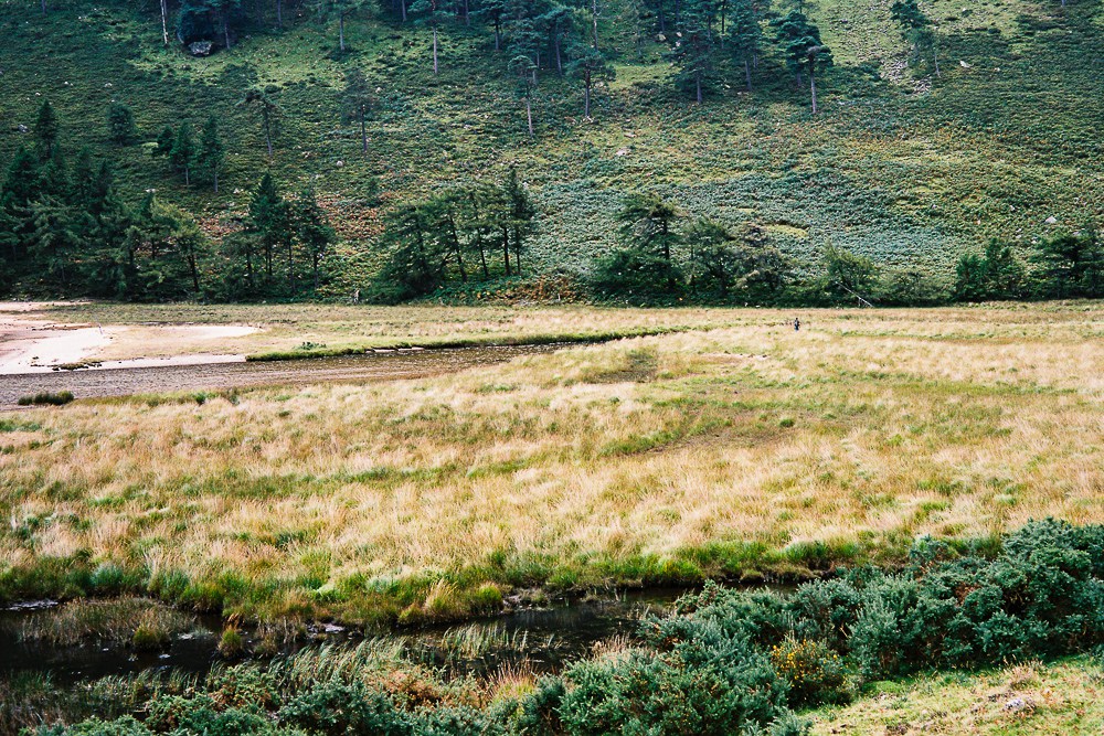 Glendalough, Leica M2, Sonnar