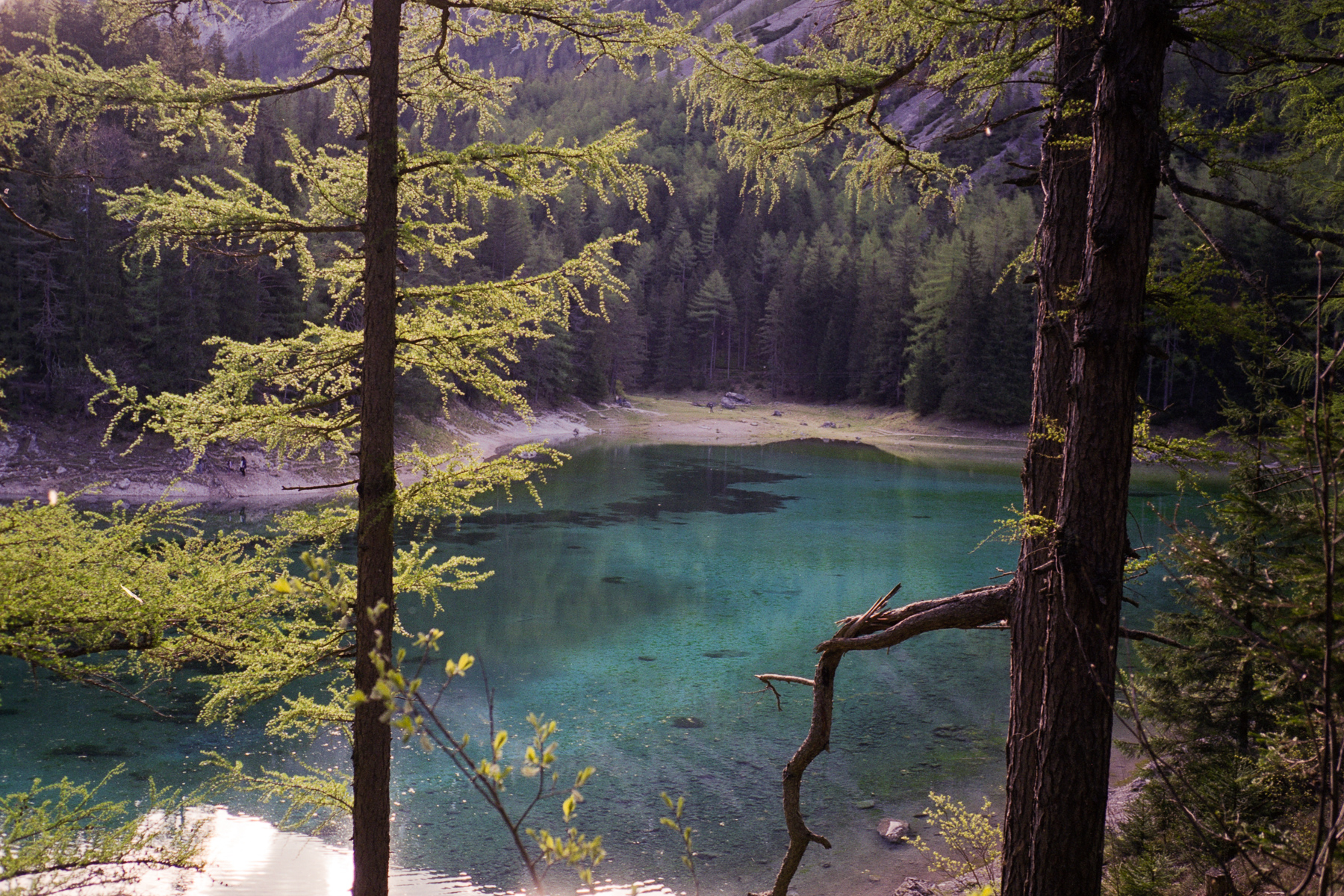 Grüner See, Leica M2, Voigtlander Color-Skopar 35mm f/2.5, Fujicolor Pro 160NS, Epson Perfection V700