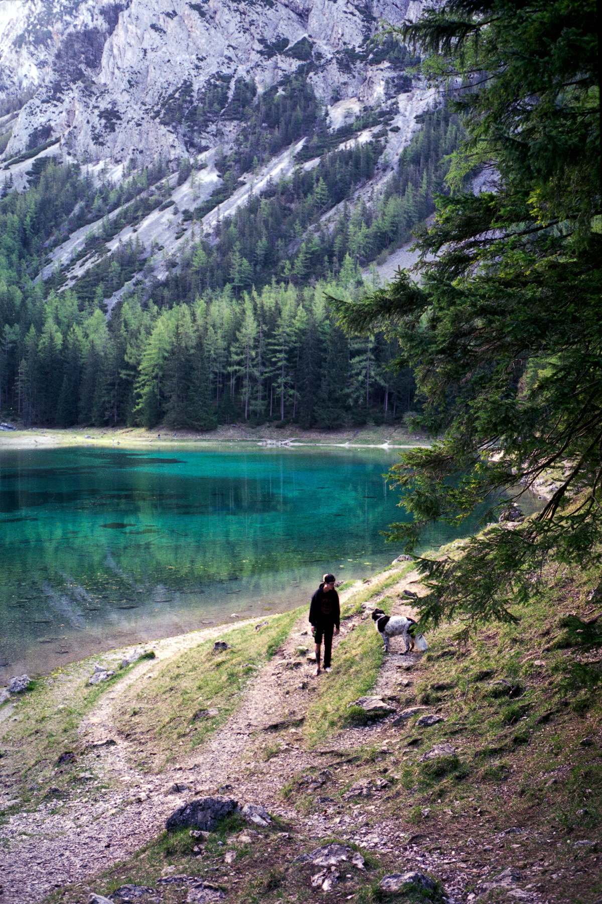 Grüner See, Leica M2, Voigtlander Color-Skopar 35mm f/2.5, Fujicolor Pro 160NS, Epson Perfection V700
