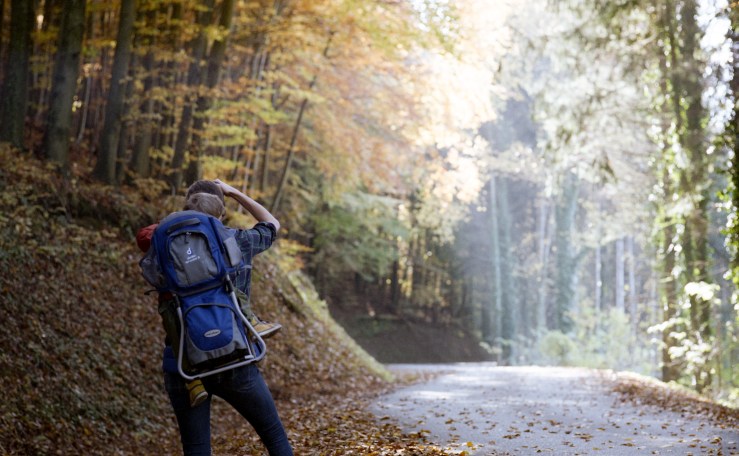 Autumn hike