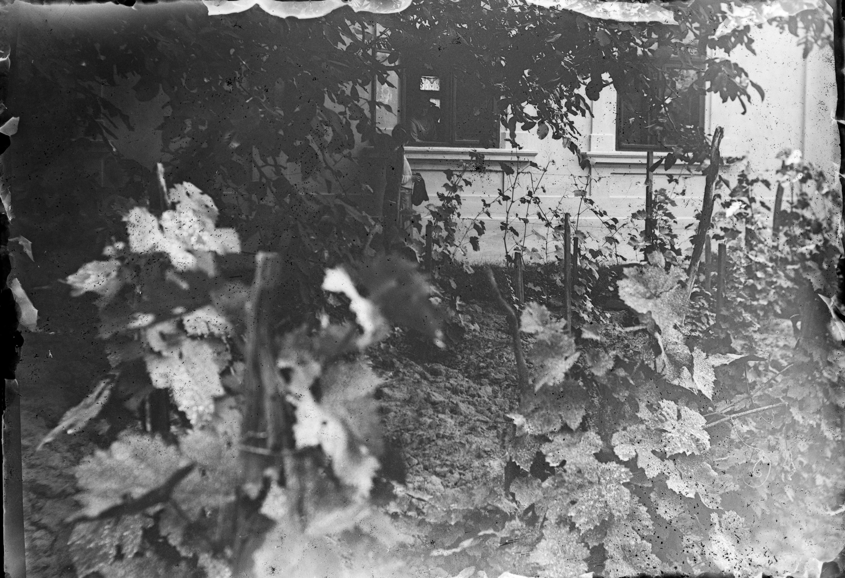 1923 – camerajunky